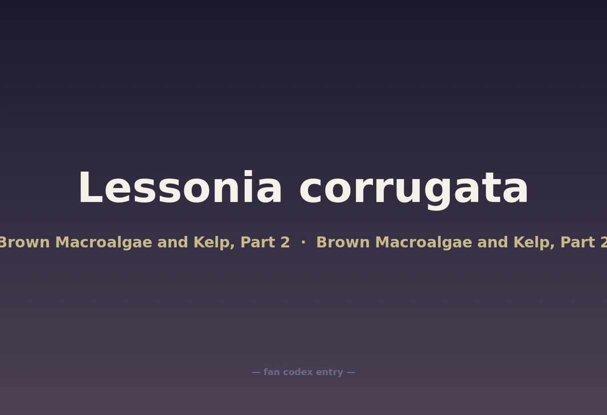 Lessonia corrugata
