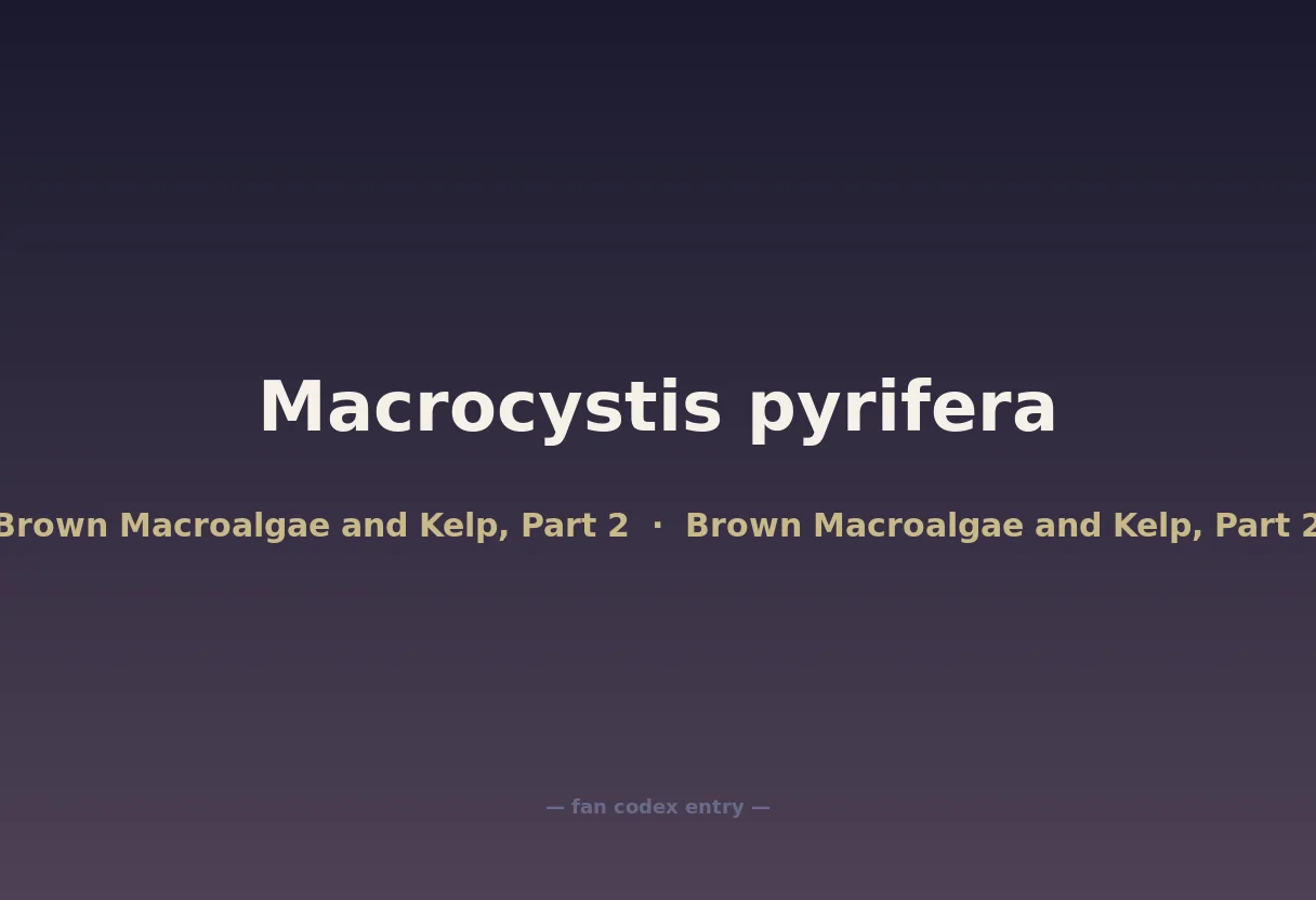 Macrocystis pyrifera