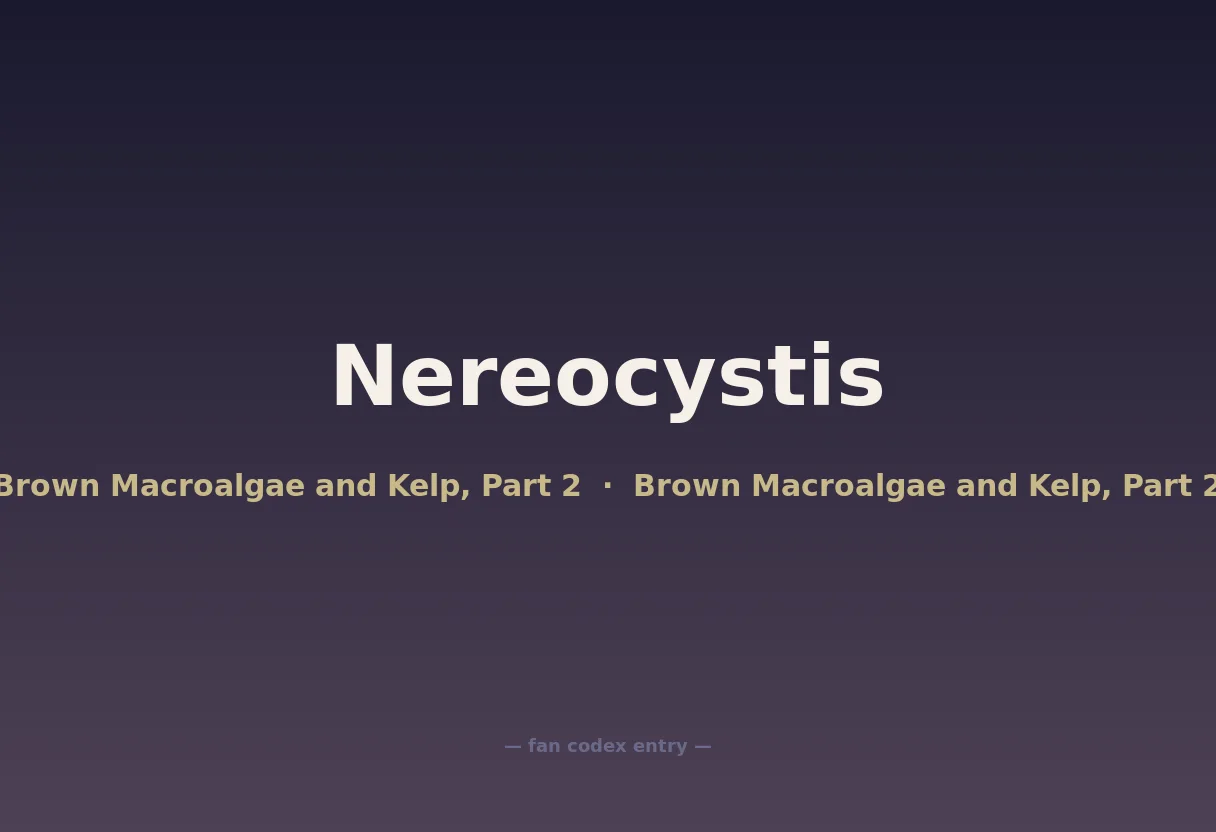 Nereocystis