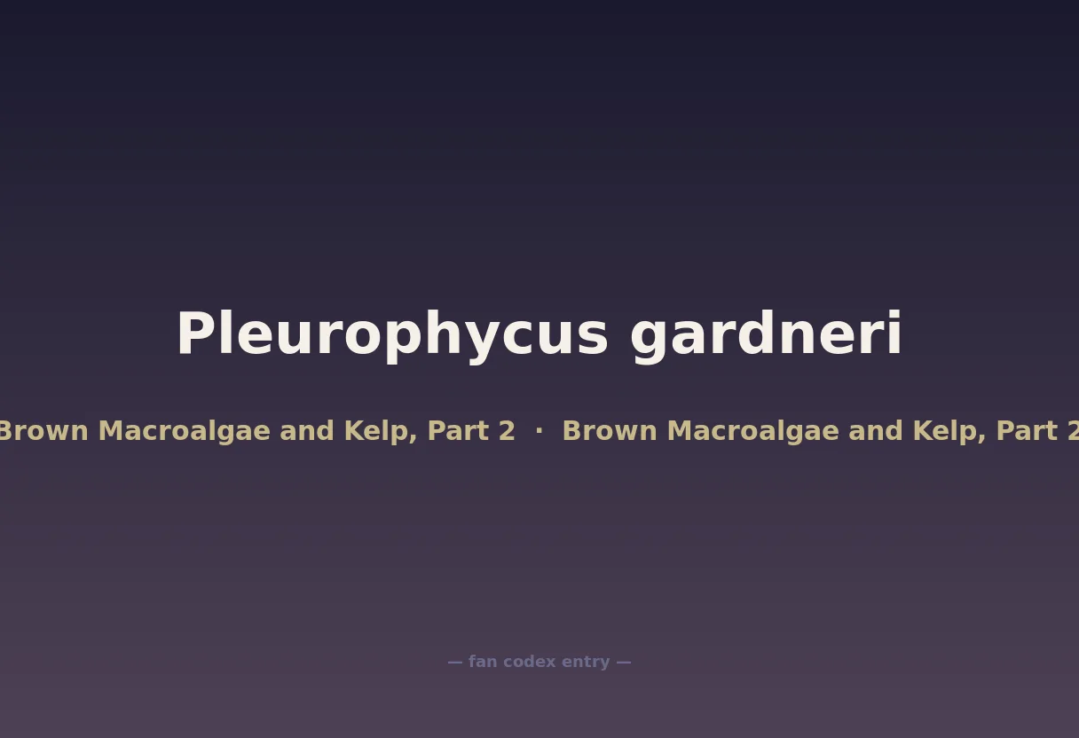 Pleurophycus gardneri
