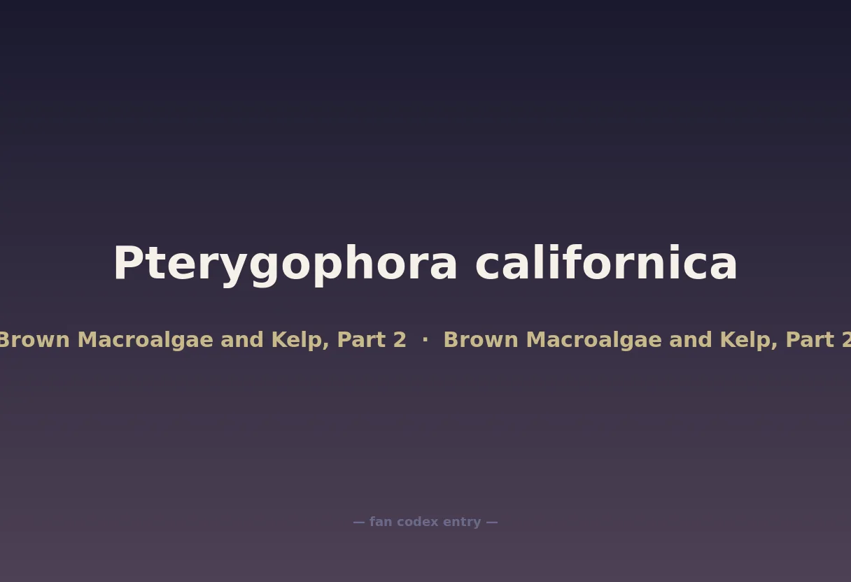 Pterygophora californica