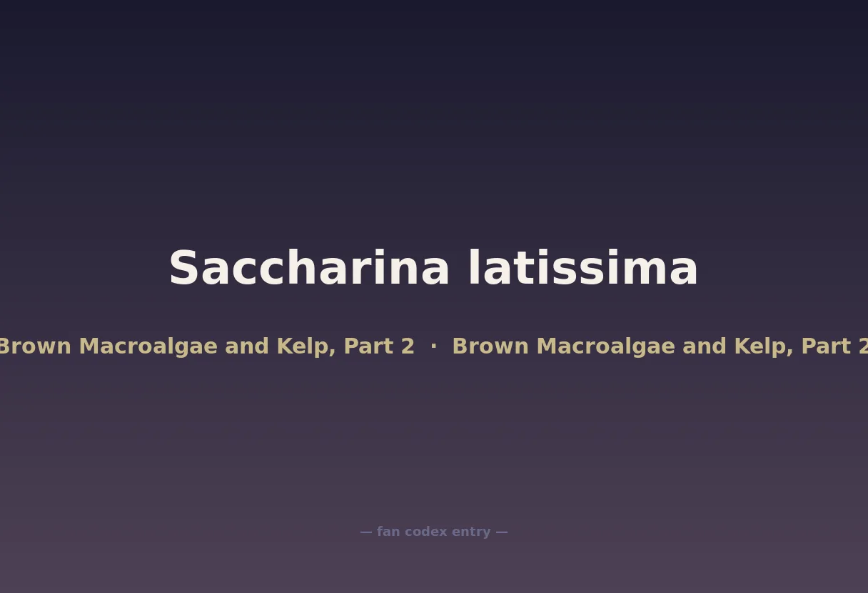 Saccharina latissima