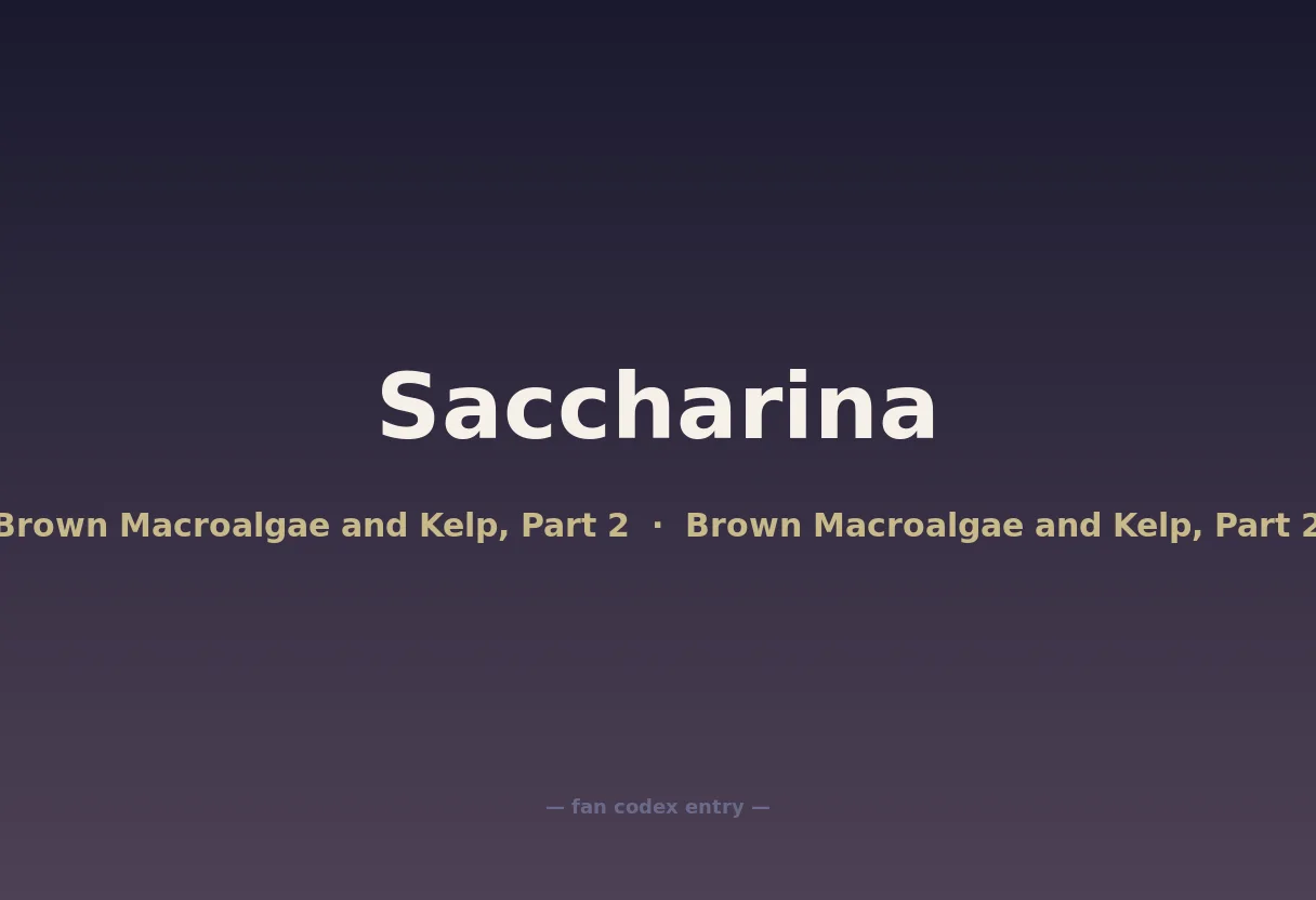 Saccharina