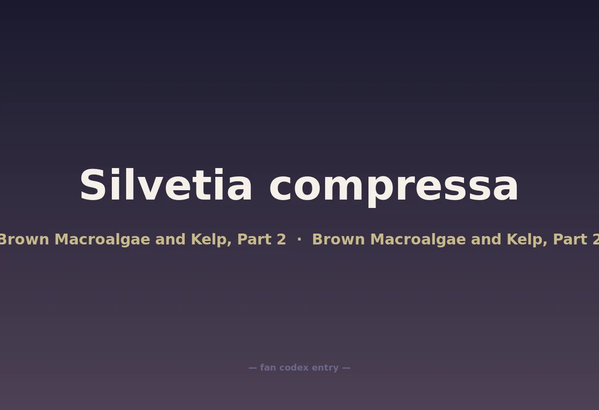 Silvetia compressa
