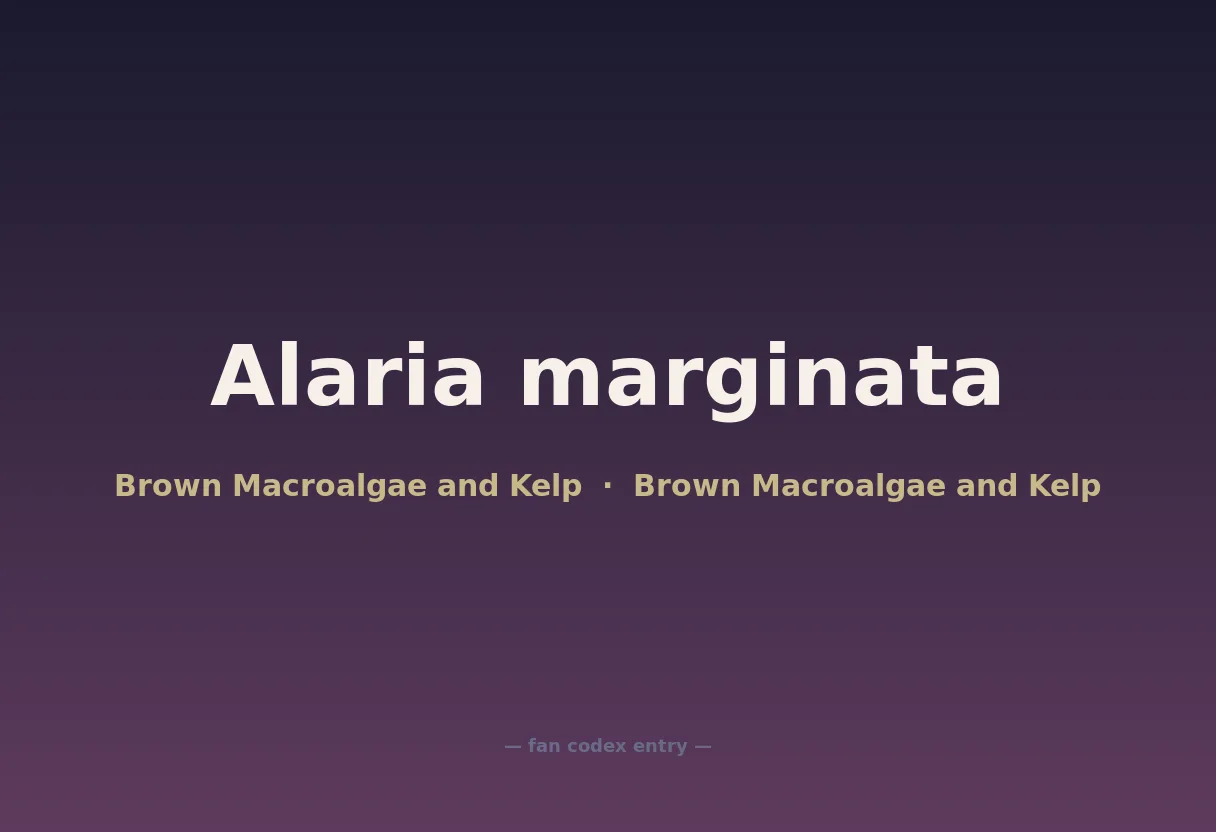 Alaria marginata