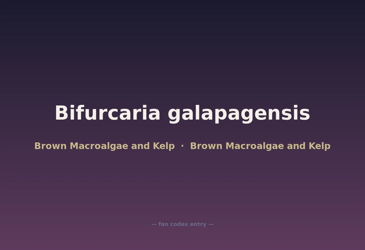Bifurcaria galapagensis