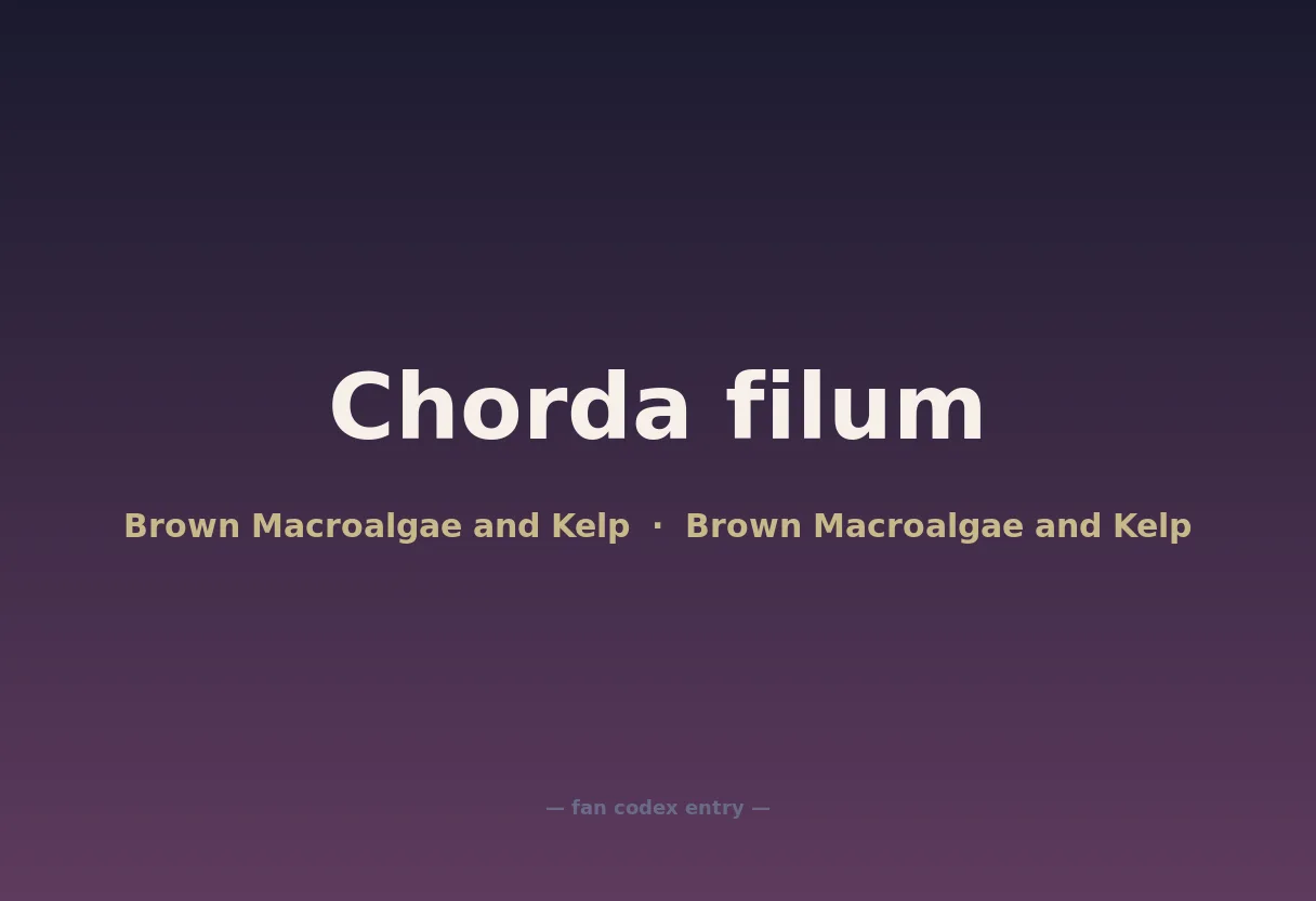 Chorda filum