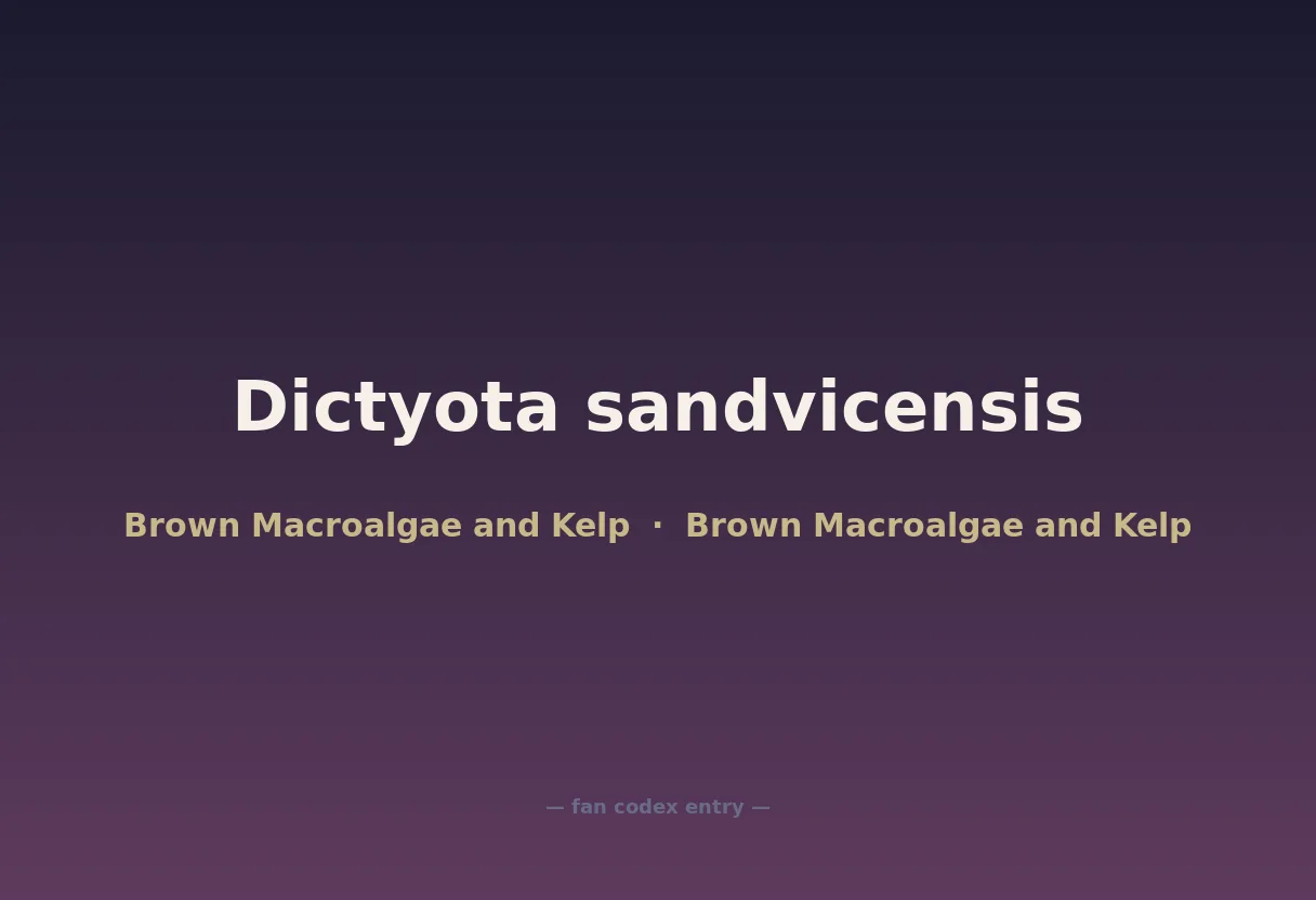 Dictyota sandvicensis