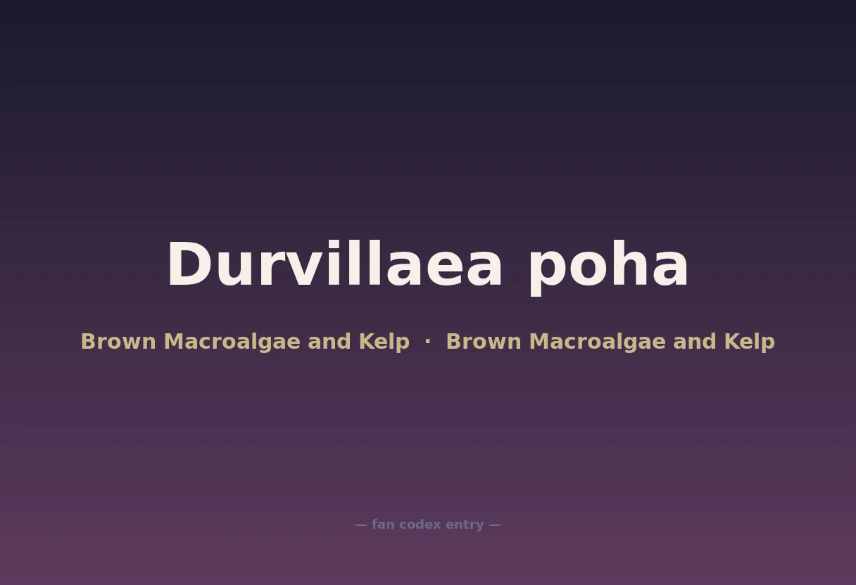 Durvillaea poha