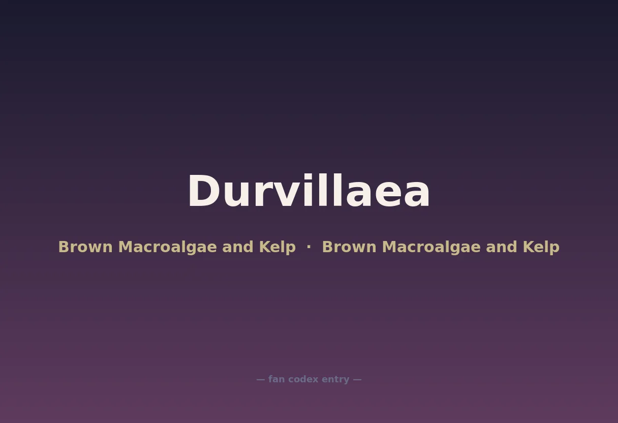 Durvillaea