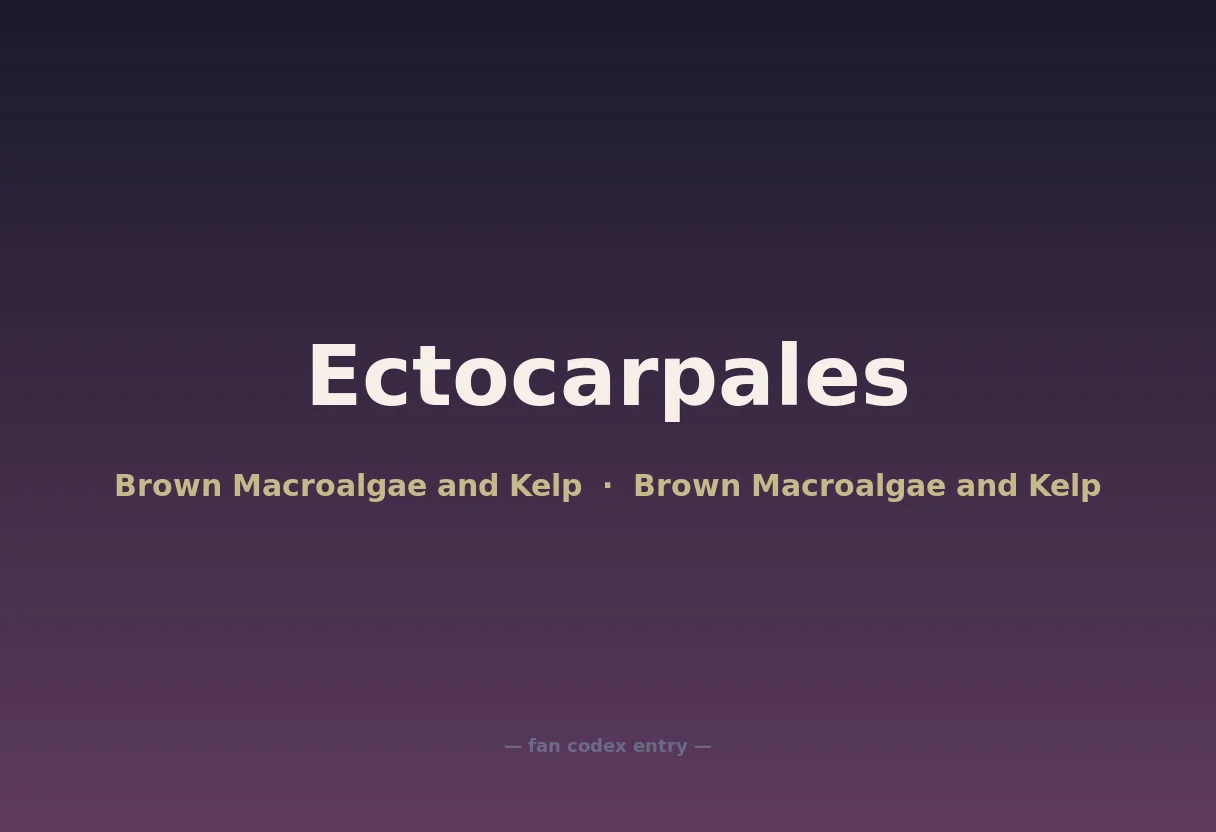 Ectocarpales