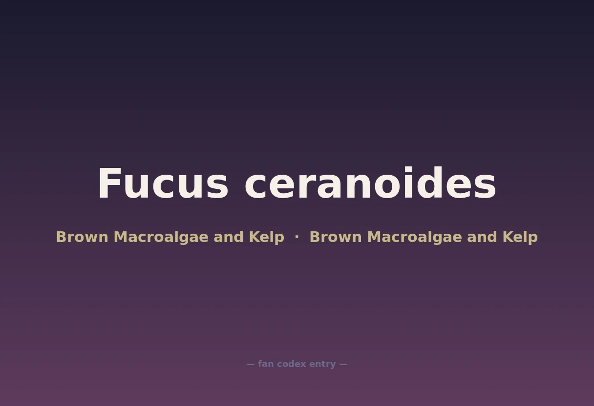 Fucus ceranoides