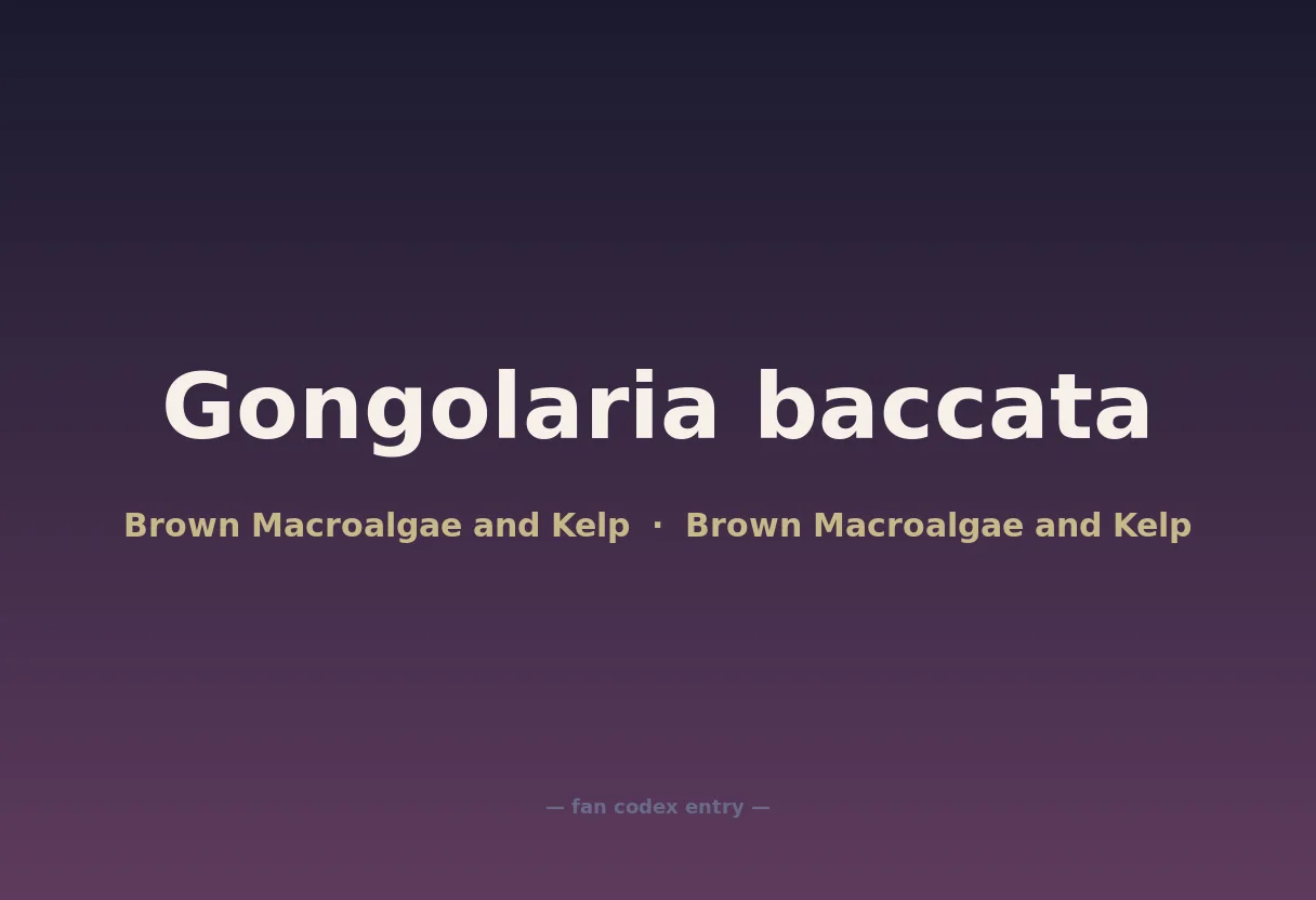 Gongolaria baccata