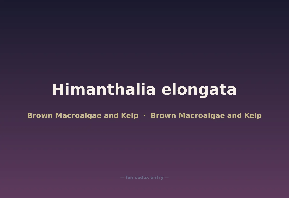 Himanthalia elongata