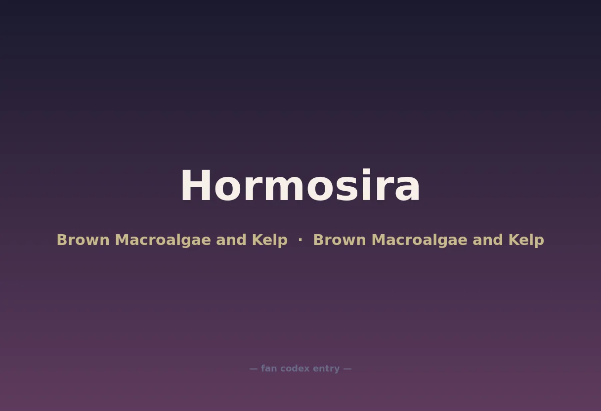 Hormosira