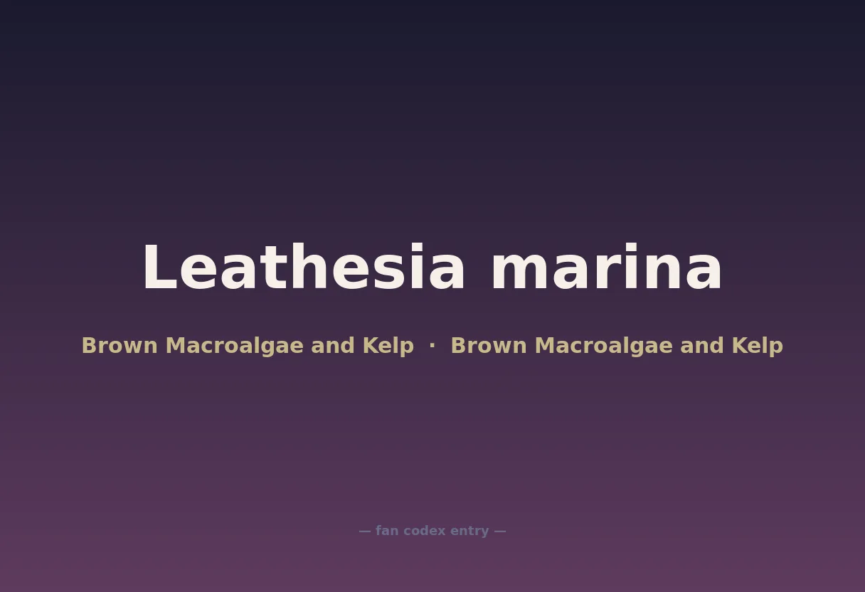 Leathesia marina