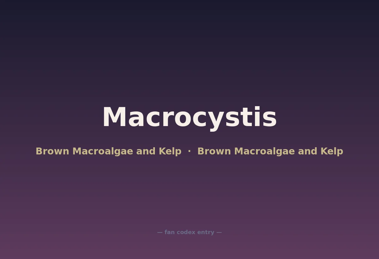Macrocystis