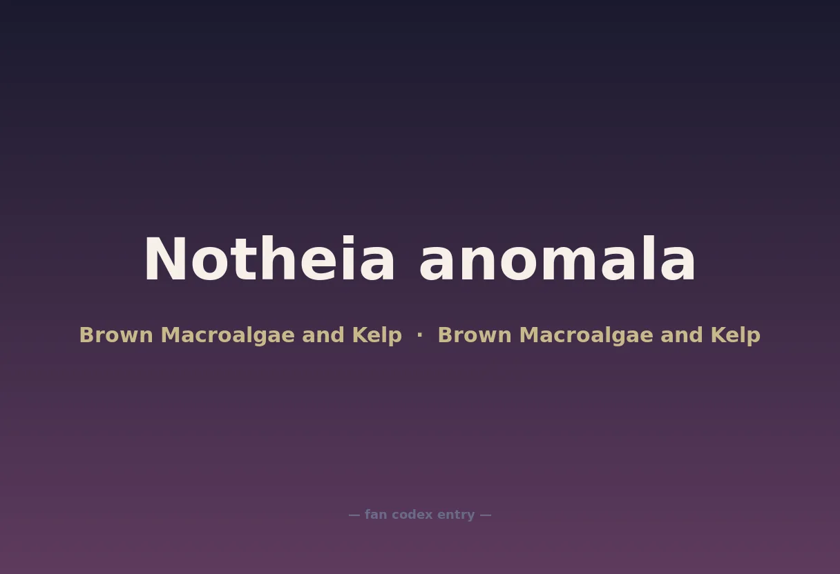 Notheia anomala