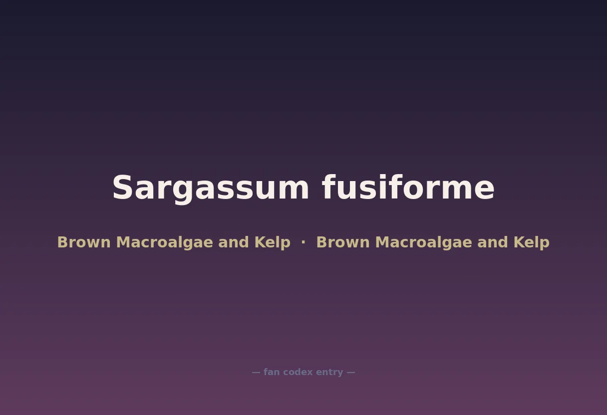 Sargassum fusiforme