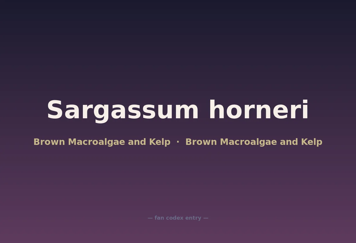 Sargassum horneri