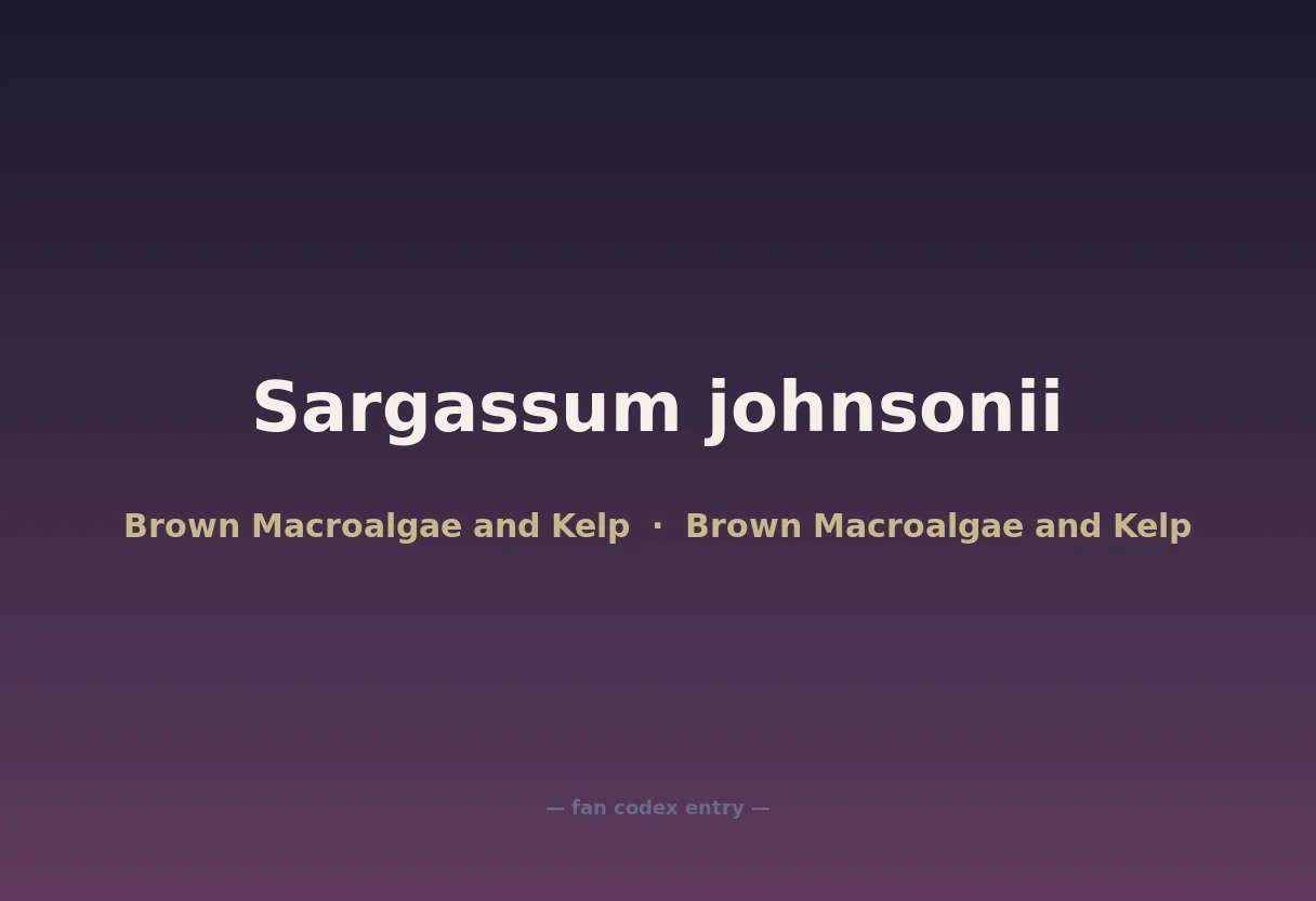 Sargassum johnsonii