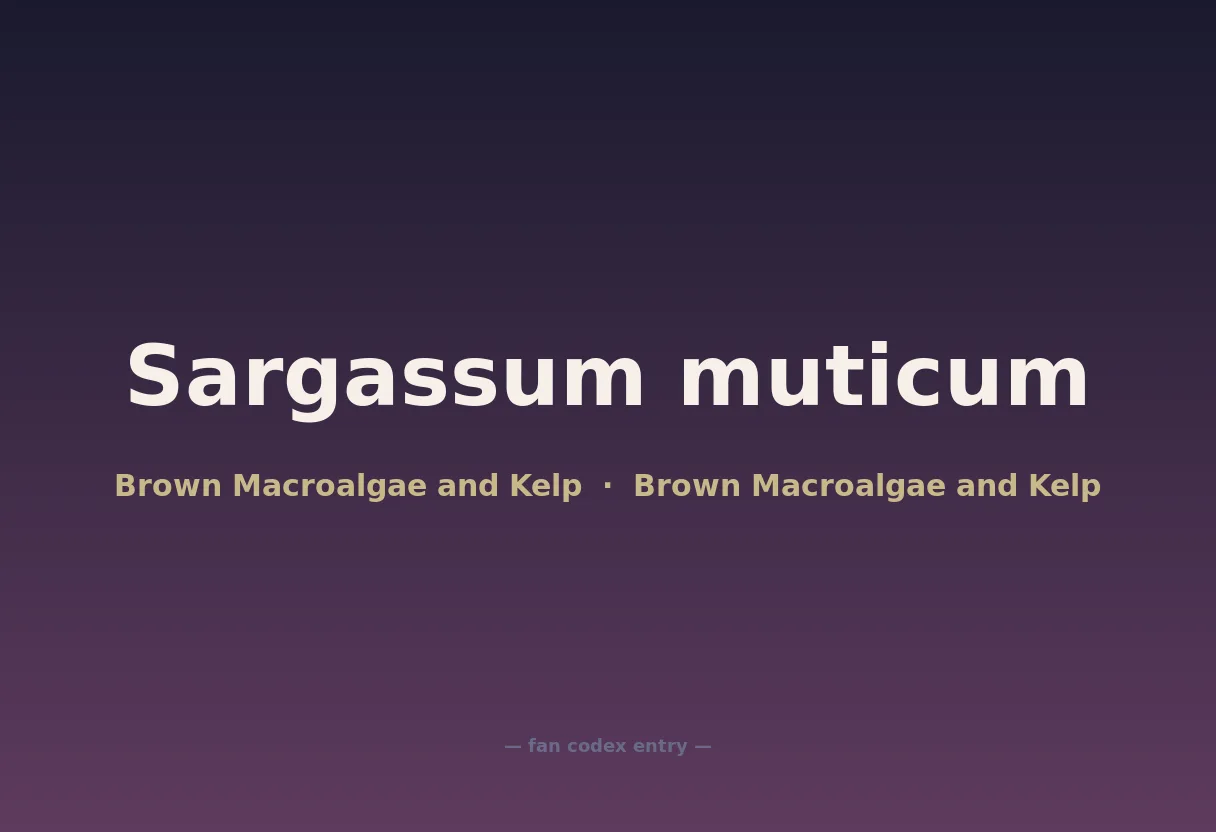 Sargassum muticum