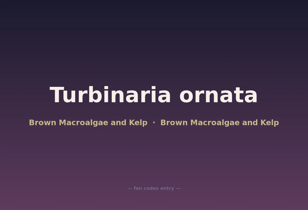 Turbinaria ornata