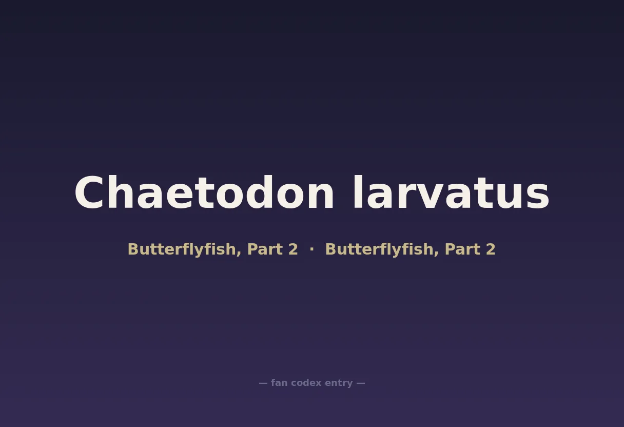 Chaetodon larvatus