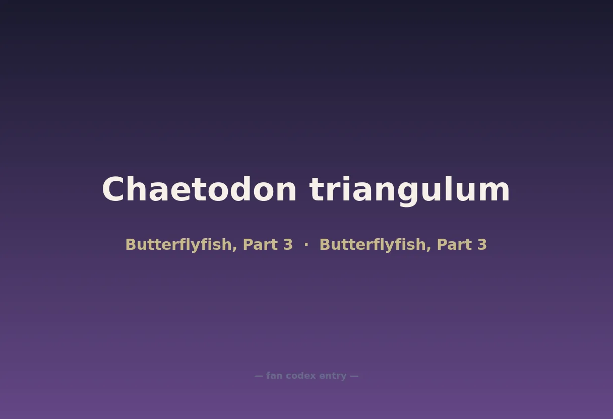 Chaetodon triangulum