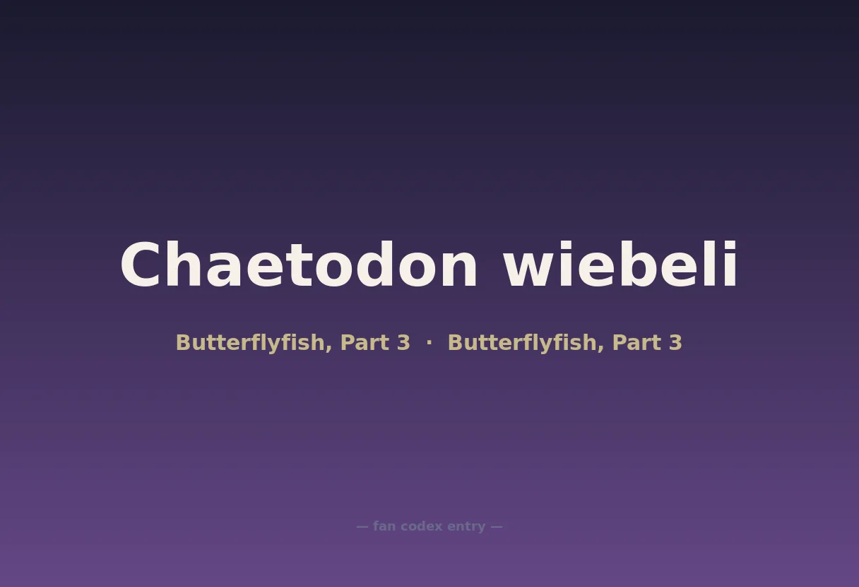 Chaetodon wiebeli