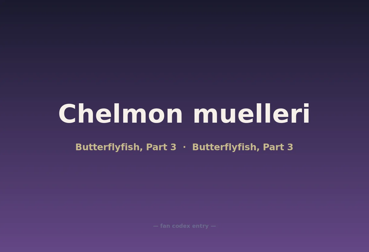 Chelmon muelleri
