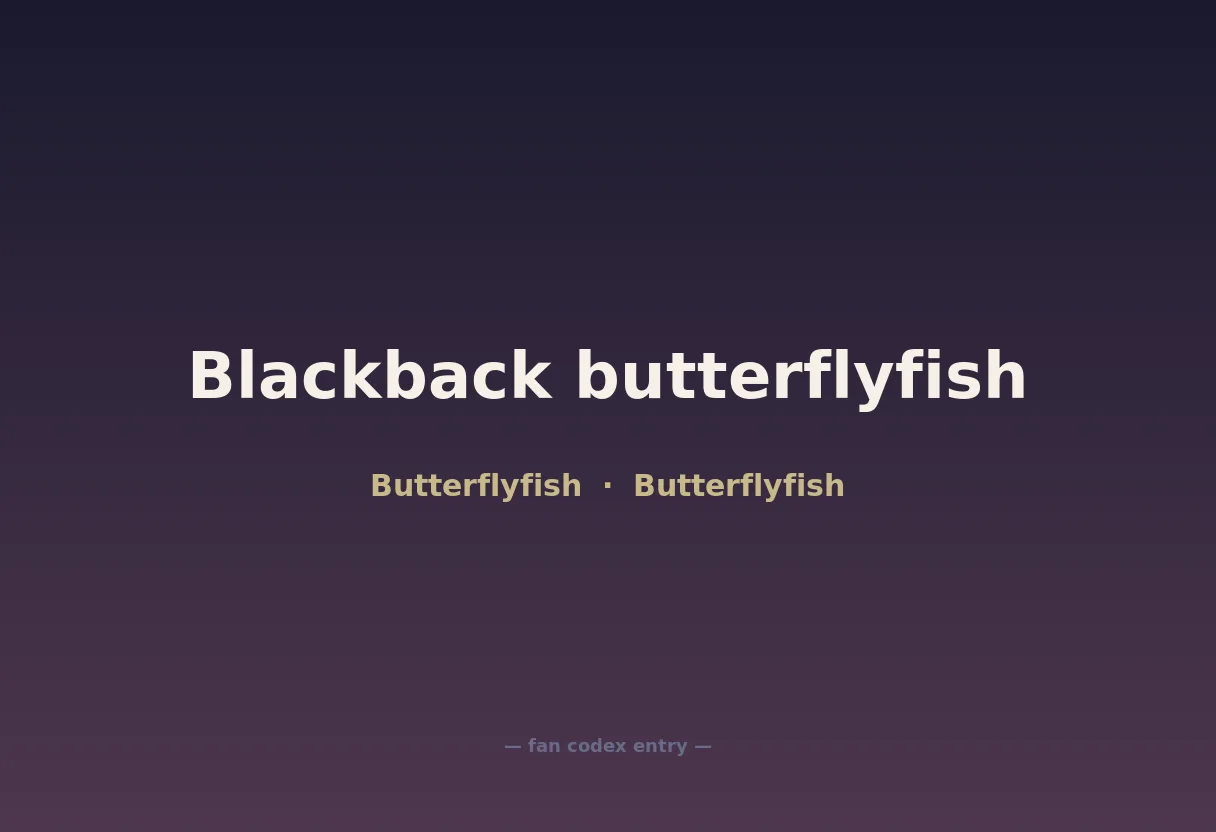Blackback butterflyfish