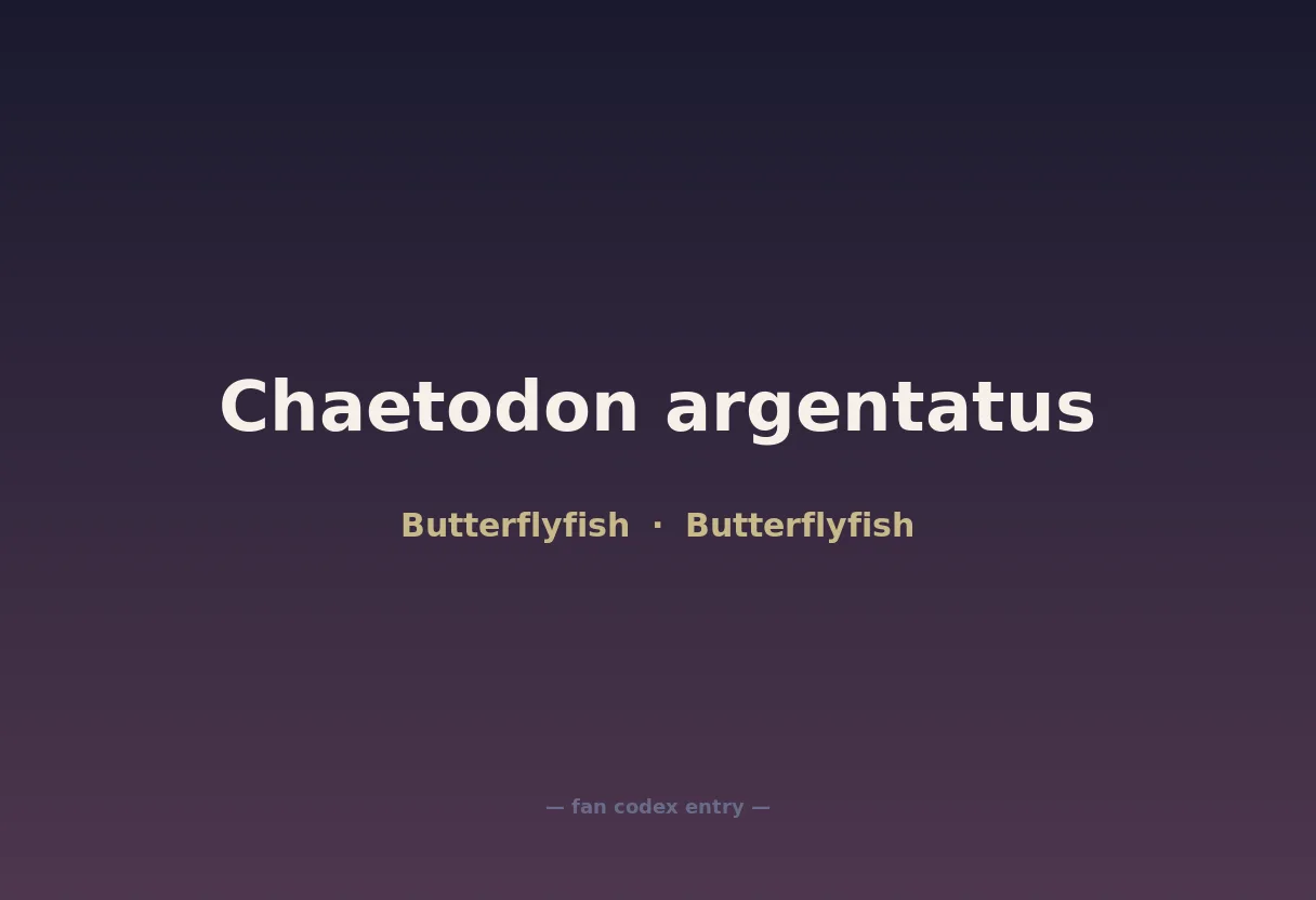 Chaetodon argentatus