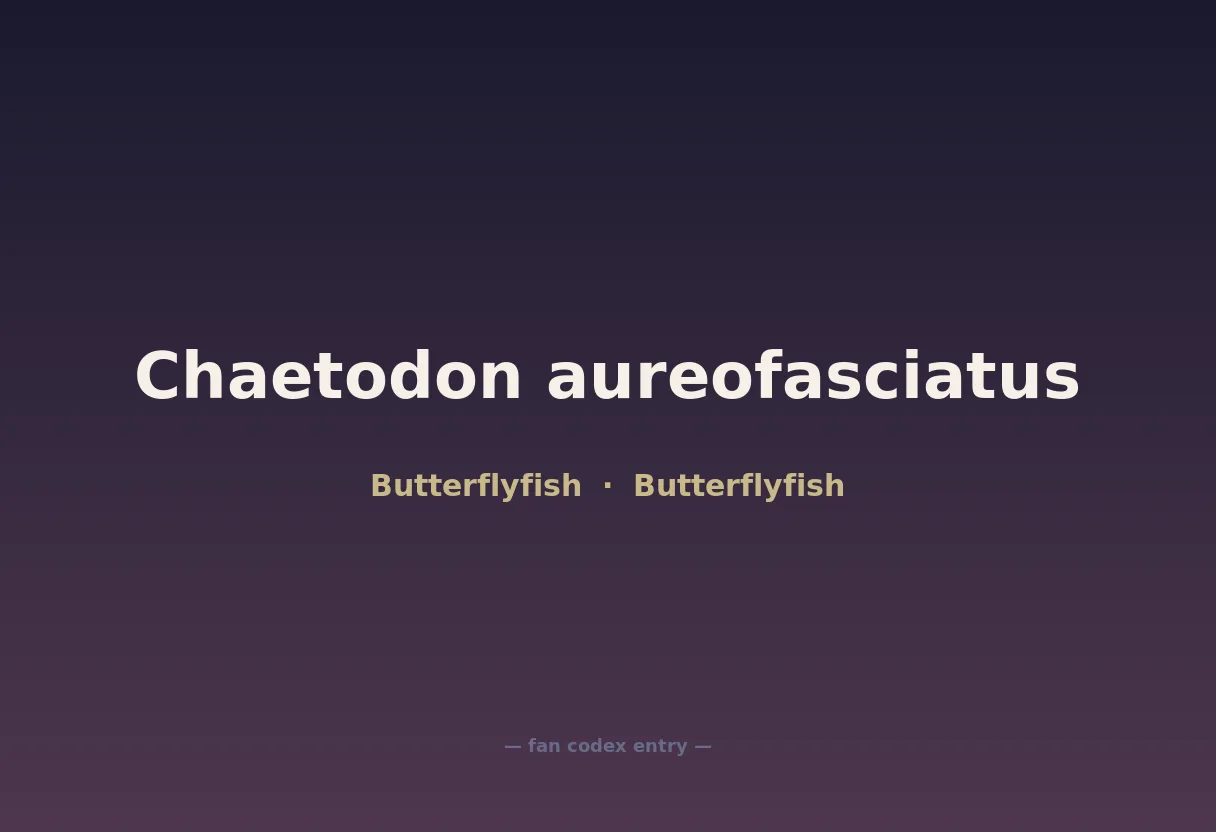 Chaetodon aureofasciatus