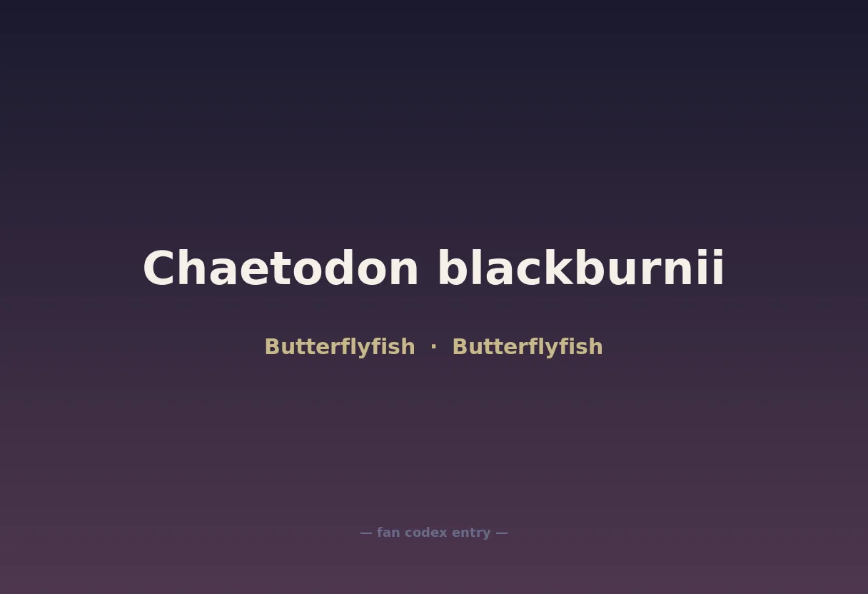Chaetodon blackburnii