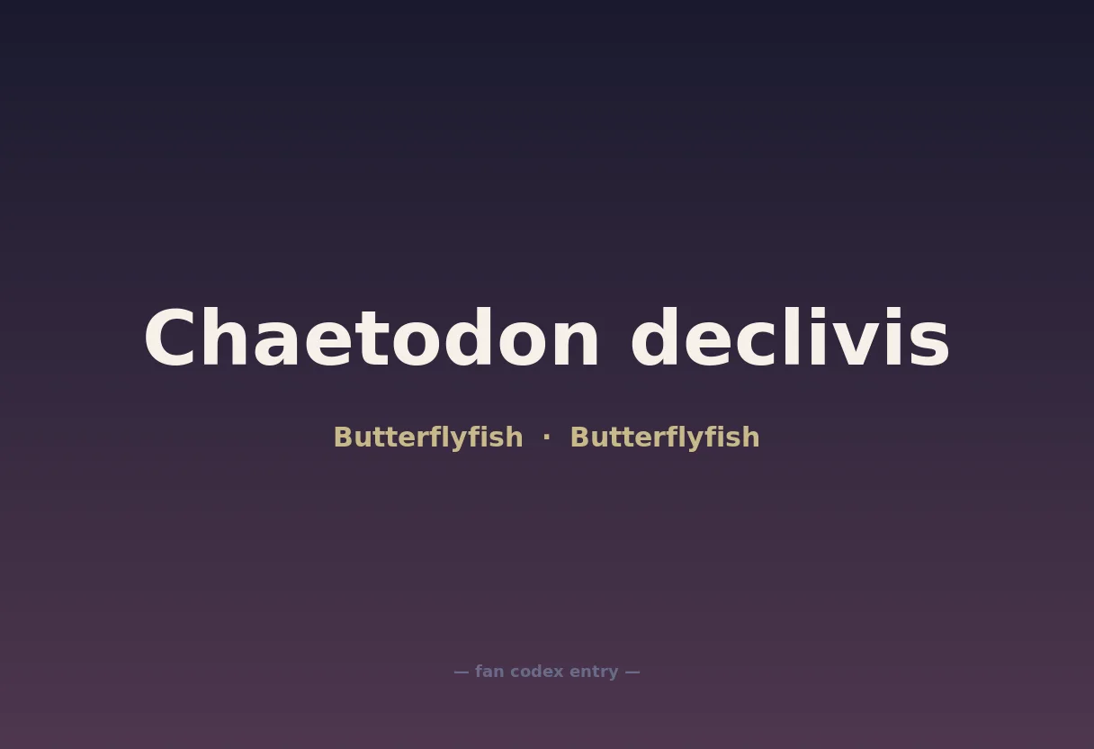 Chaetodon declivis
