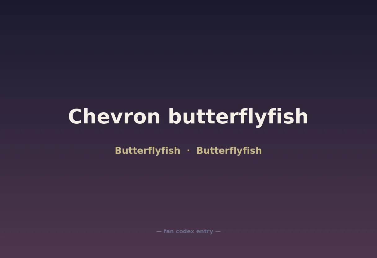 Chevron butterflyfish