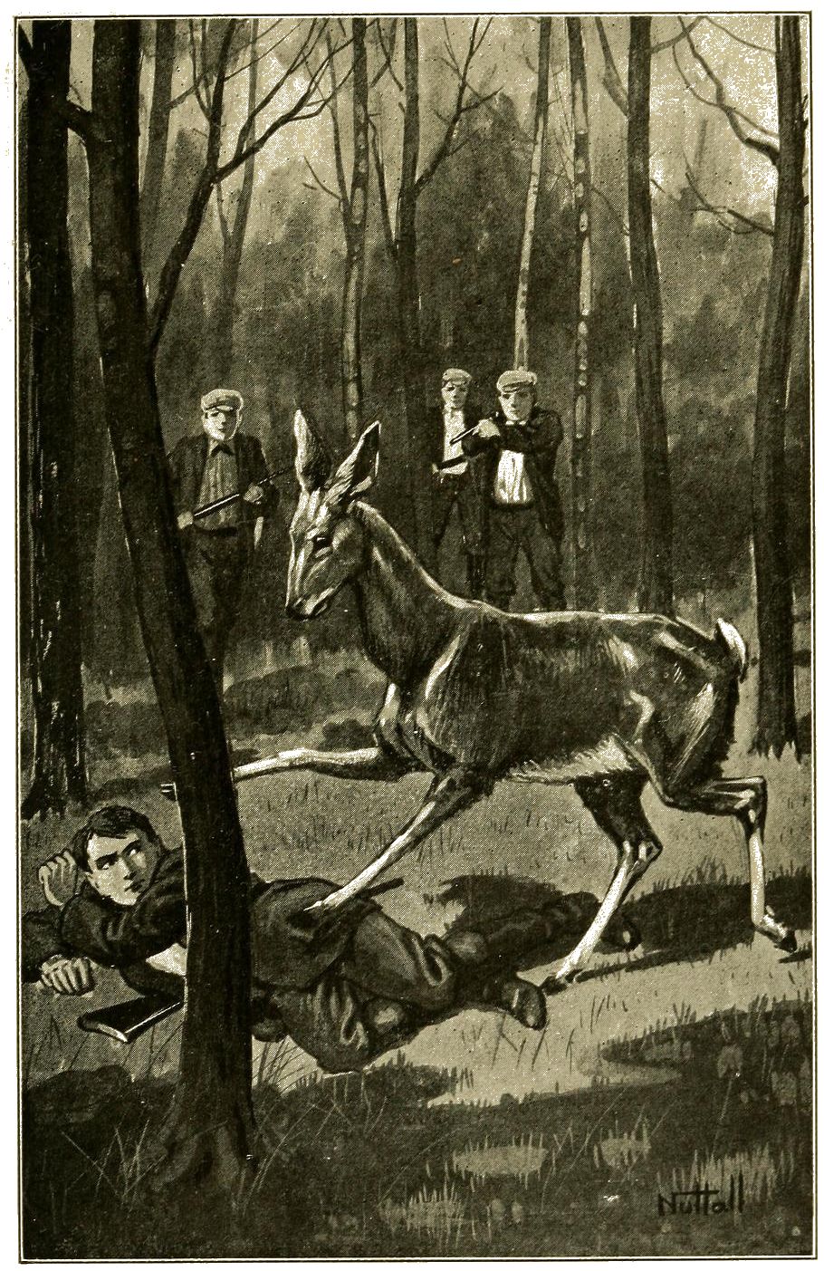 Mystery Hunters