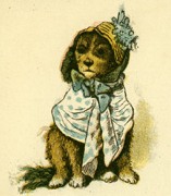 All-dressed