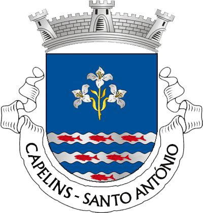 Capelin