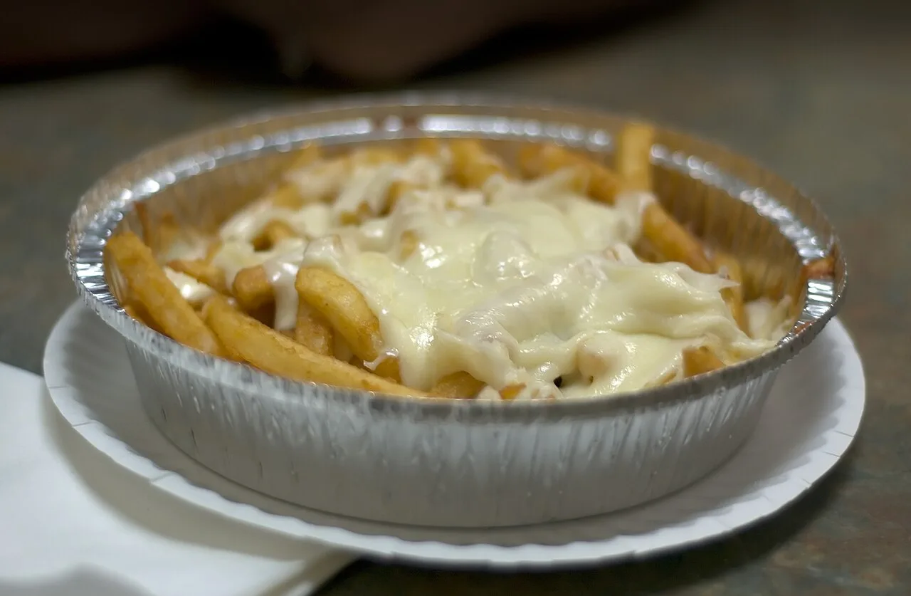 Cheese fries