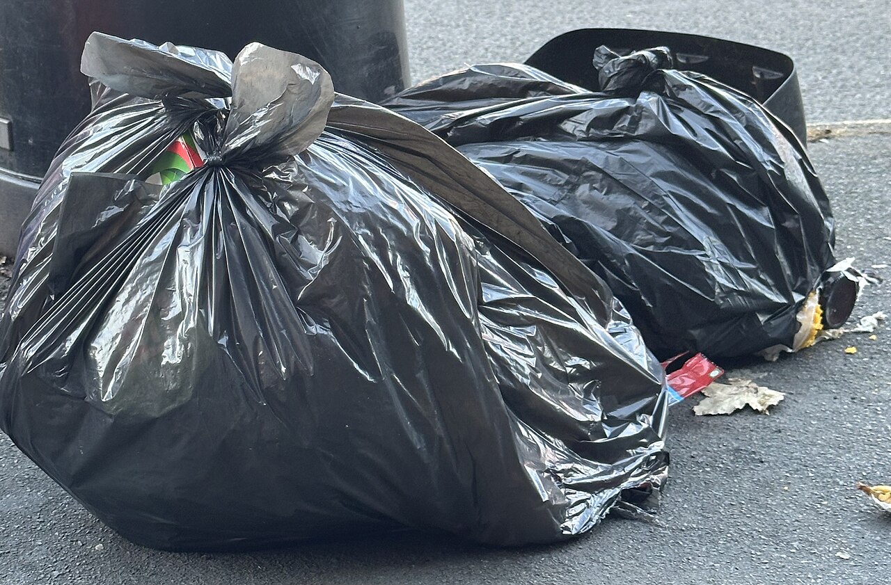 Bin bag