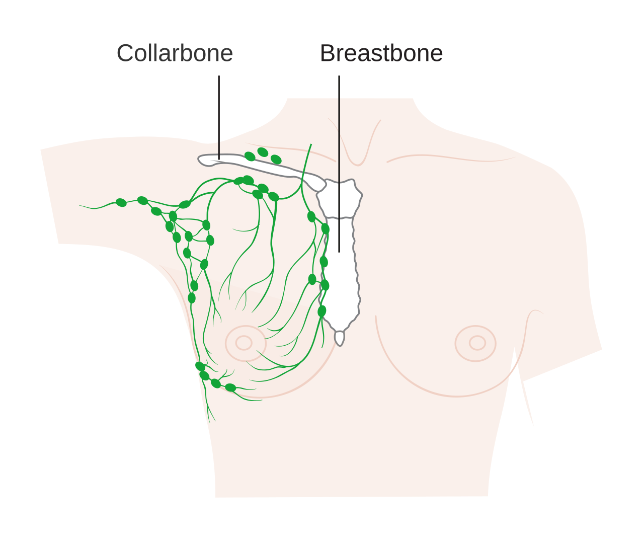 Bone Cancer Research Trust