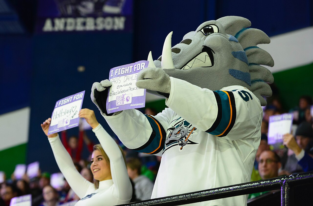 Hockey Fights Cancer