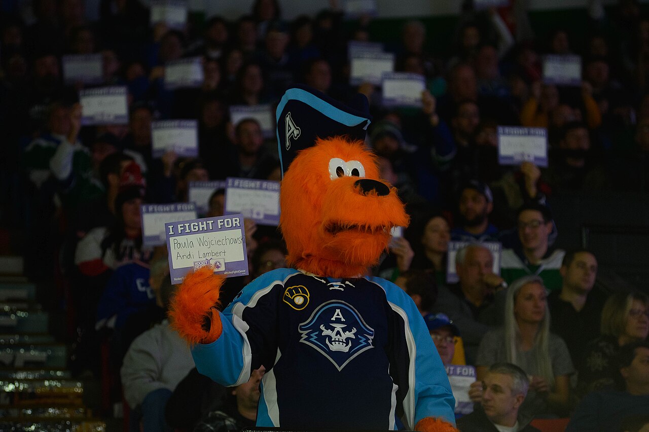 Hockey Fights Cancer