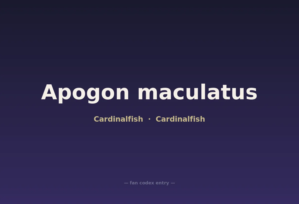 Apogon maculatus