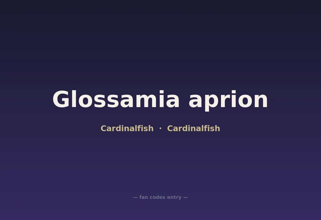 Glossamia aprion