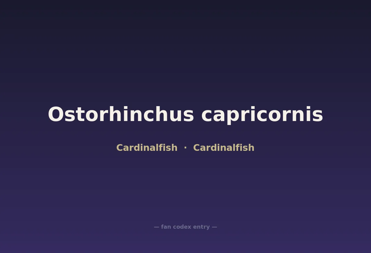Ostorhinchus capricornis