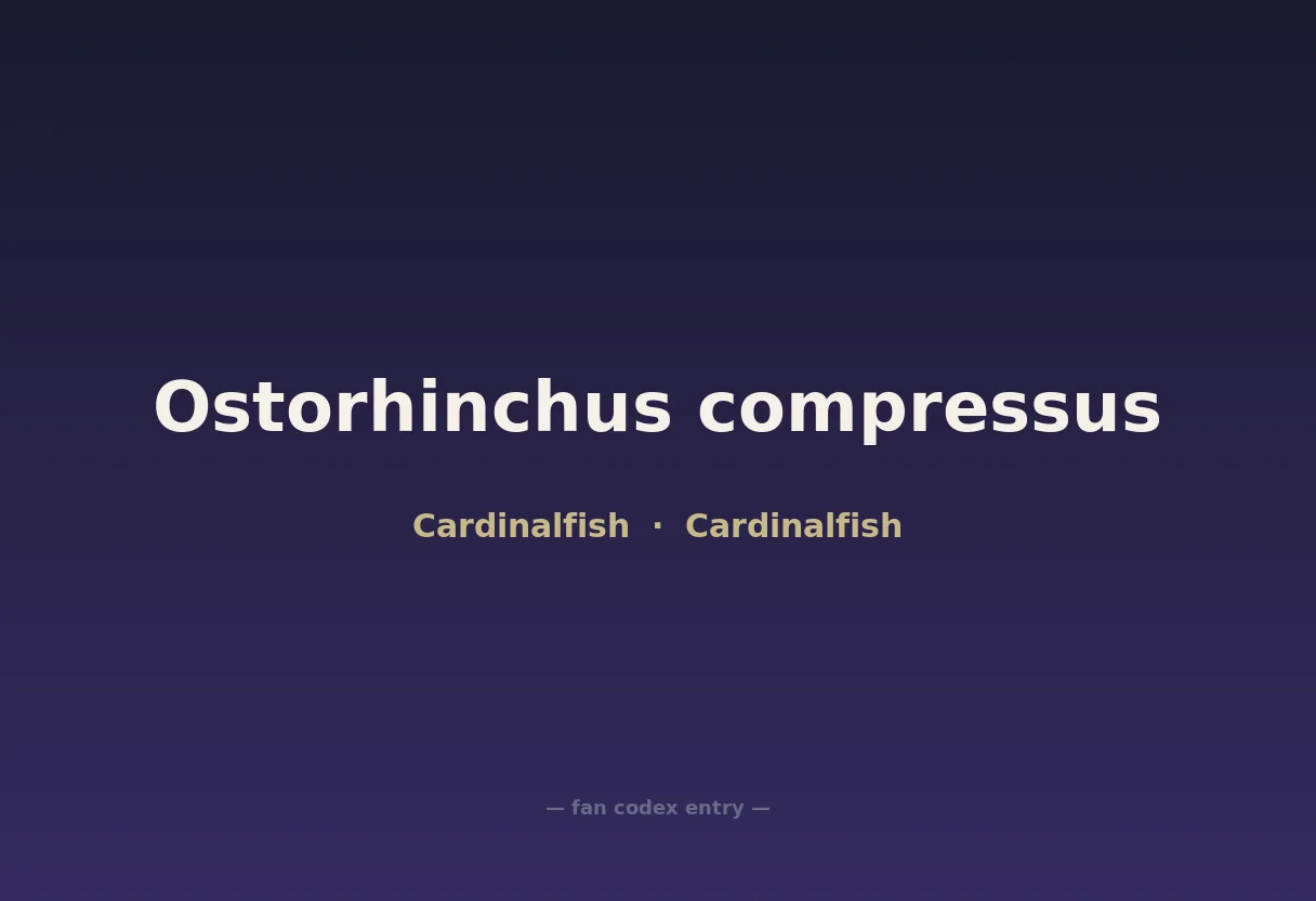 Ostorhinchus compressus