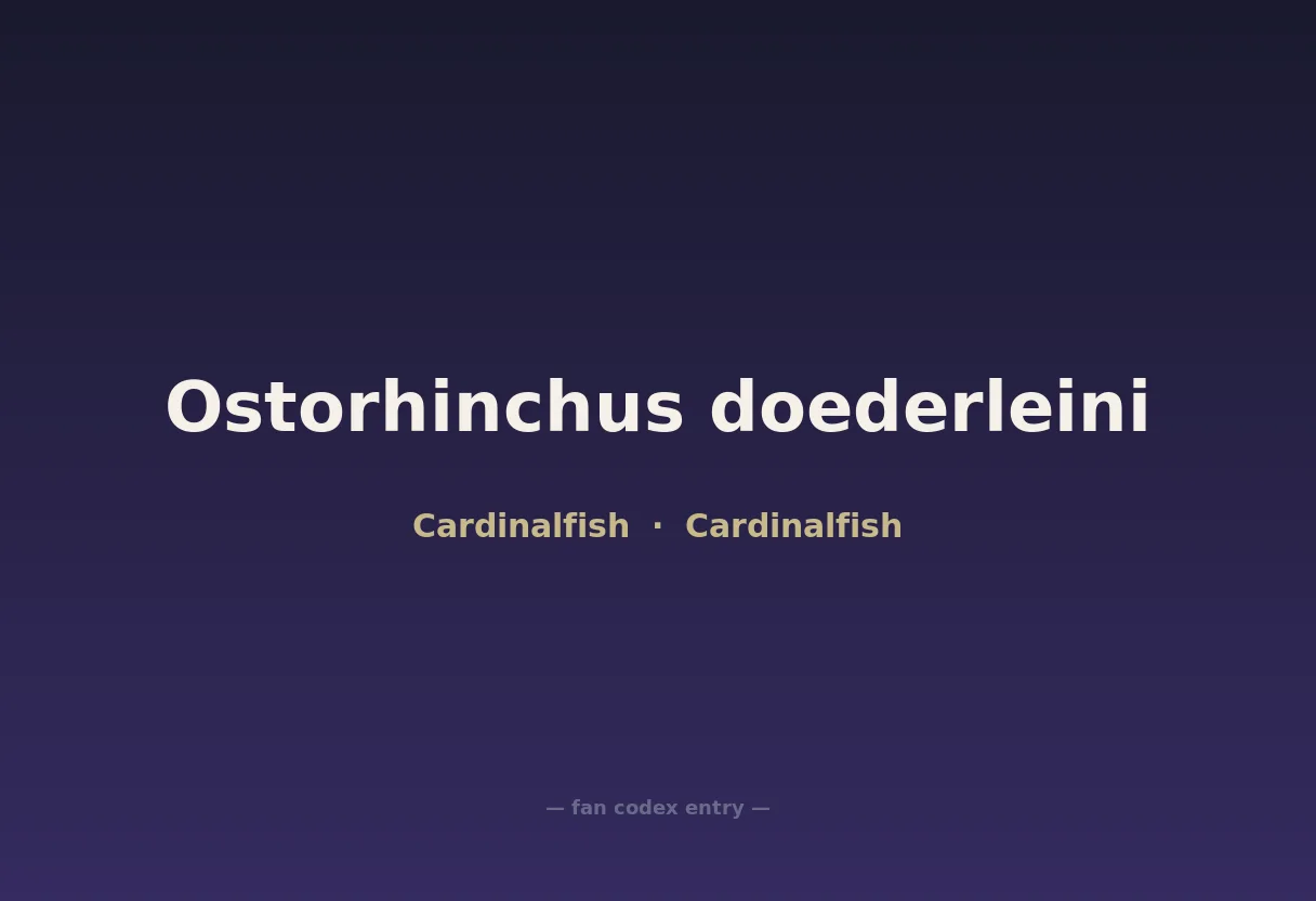 Ostorhinchus doederleini